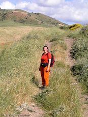 Sizilien (155 von 565).jpg